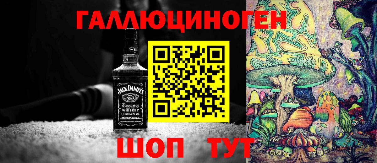 Галлюциногенные грибы Psilocybe  Вход с VPN  Избербаш 